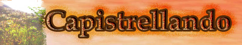 C:\Users\Consuelo\Desktop\testatasitoc.jpg